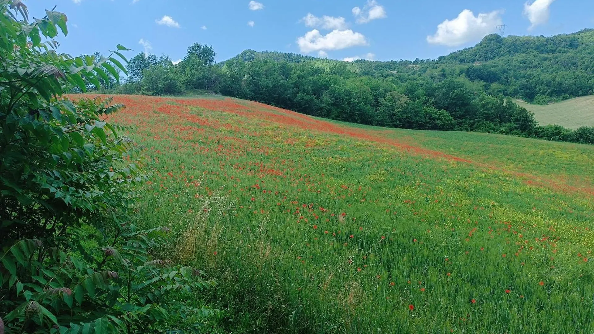 Affittacamere Monte Bibele Monterenzio Italia
