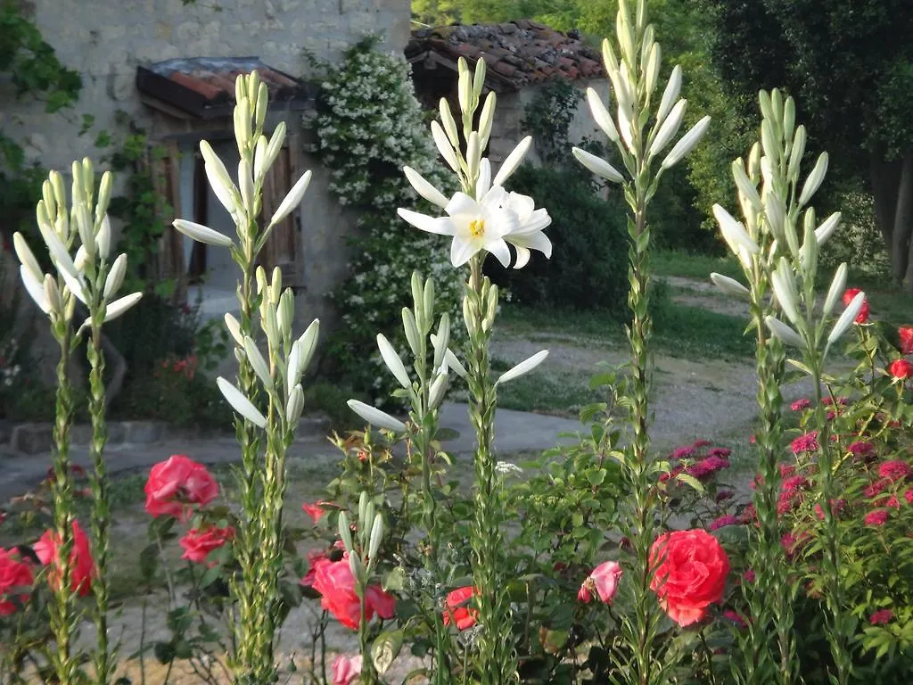 Casa di campagna Affittacamere Monte Bibele Monterenzio