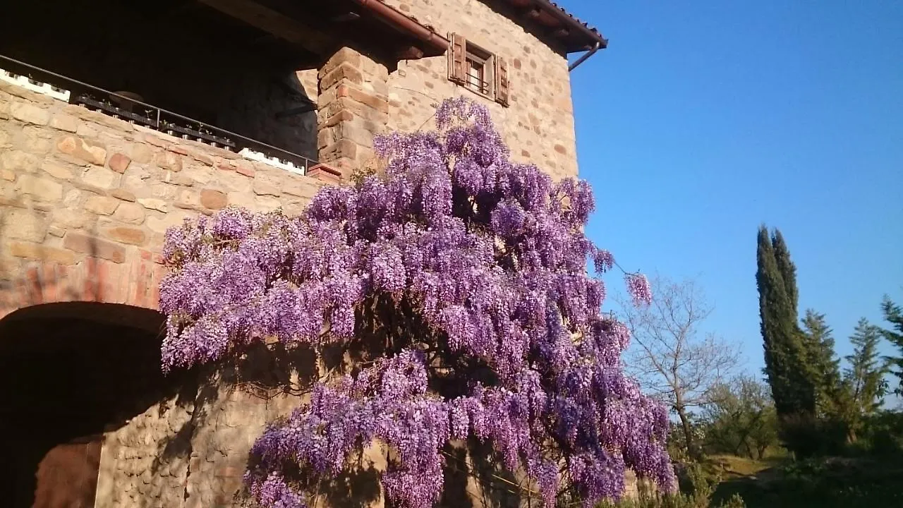 Affittacamere Monte Bibele Monterenzio Casa di campagna